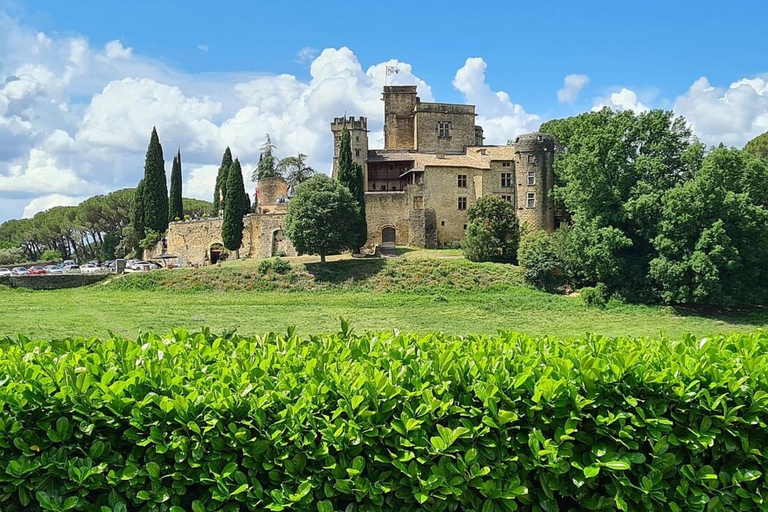 Luberon: Tour de vinos de un día completo desde Marsella