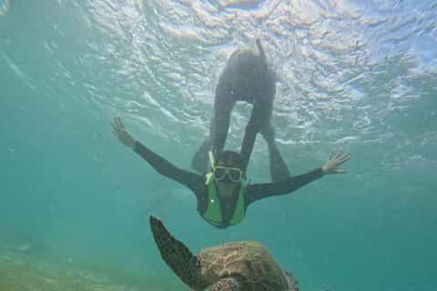 Moalboal Island - Sardine Run & turtle watching - Image 3