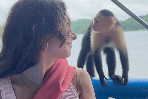 Panama City: Monkey Island & Gatun Lake Tour