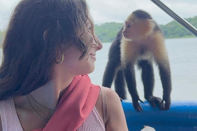 Panama City: Monkey Island & Gatun Lake Tour