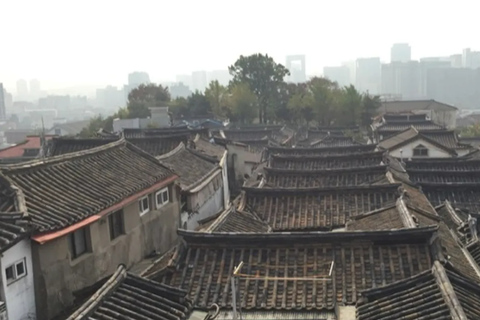 Seoul Hoogtepunten Privé Wandeltour met gids