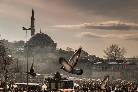 Istambul: Excursão guiada privada de 1 dia