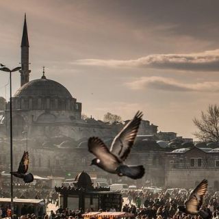 Istanbul: Full-Day Private Guided Tour