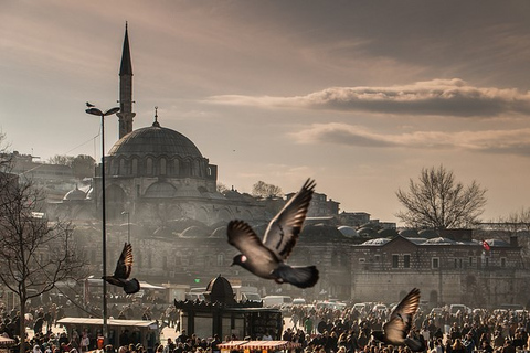 Estambul: tour guiado privado de día completo