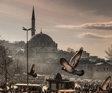 Istanbul: Full-Day Private Guided Tour