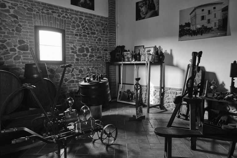 Balsamic Vinegar, Wine Tasting & Tour near Parma & Reggio Balsamic Vinegar & Wine Tasting in Reggio Emilia - Italiano