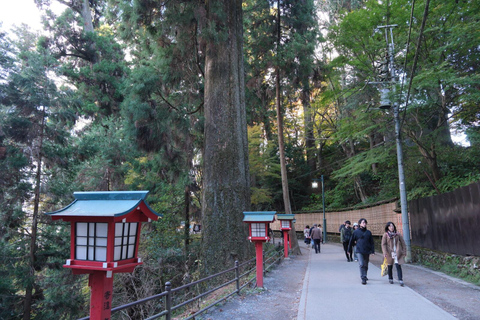 Avontuur op de Takao berg: Ontdek natuur en traditie in Tokio