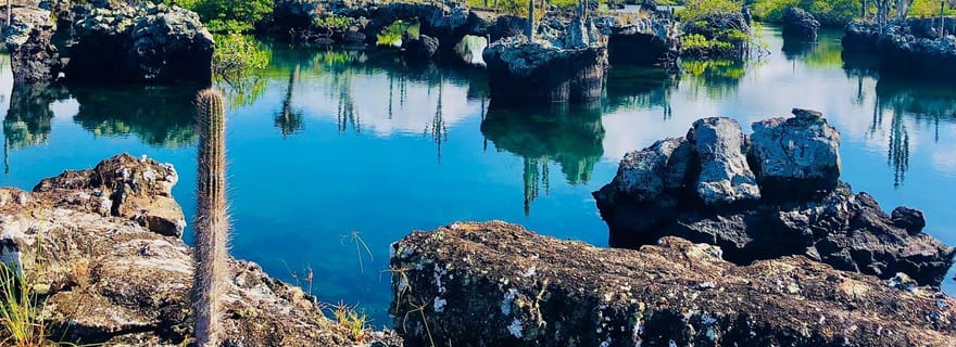 Tunnels des Galápagos : plongée en apnée avec des requins, des hippocampes et des tortues de mer