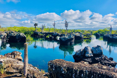 Tunnels des Galápagos : plongée en apnée avec des requins, des hippocampes et des tortues de merExcursion dans les tunnels des Galápagos : plongée en apnée avec requins et hi