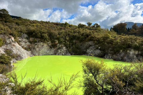 Von Rotorua WAI-O-TAPU + Lady Knox Geysir + Mud Pool Combo