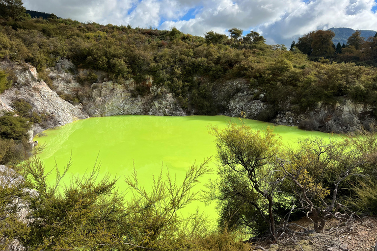 Von Rotorua WAI-O-TAPU + Lady Knox Geysir + Mud Pool Combo