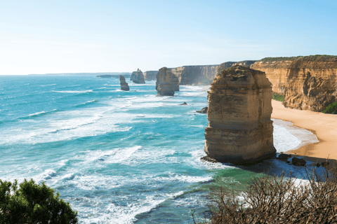 Great Ocean Road Small-Group Tour with Ethical Wildlife - Image 2