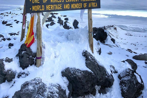 Arusha: 7-daagse Machame Route Reis naar de Kilimanjaro piek