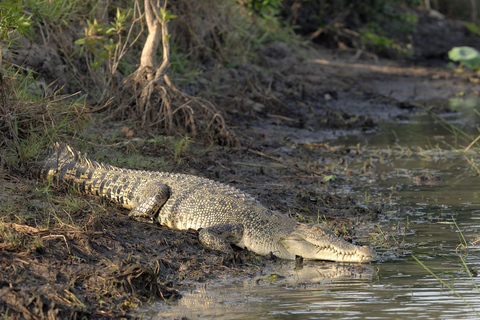 Bentota dorpstour, riviersafari met Westcoast