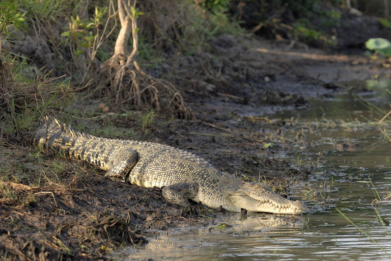 Wycieczka po wiosce Bentota, rzeczne safari z Westcoast