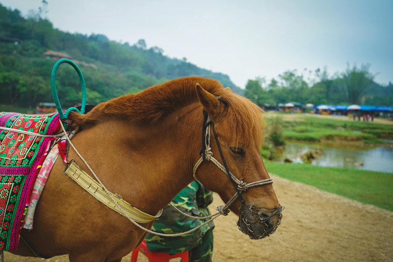 Luang Prabang: Beginner Pony Ride on Farm Trails