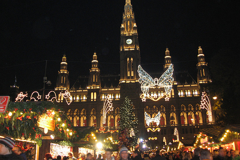 Vienna: Full-Day Private Tour