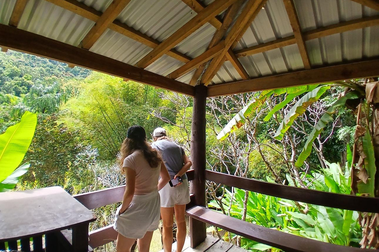 FIJI: Garden of the Sleeping Giant Tour InterContinental/Yatule/Yadua Bay/Shangri-La Pickup