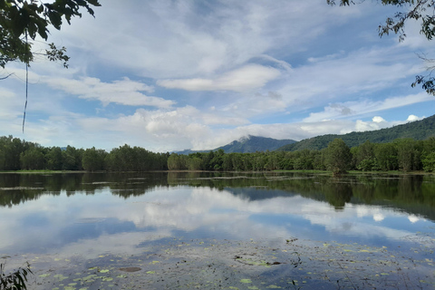 Cairns: Waterfall, Wetlands and Skyrail