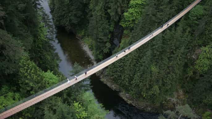 vancouver und die capilano suspension bridge halbtagstour