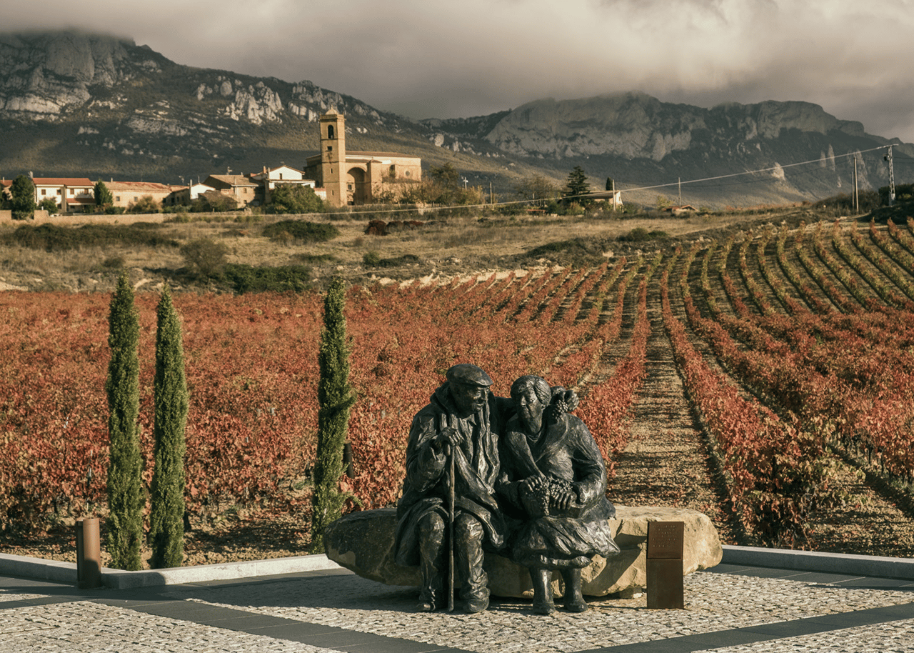 Rioja-Prestige: Weingut-Erlebnis ab San Sebastián