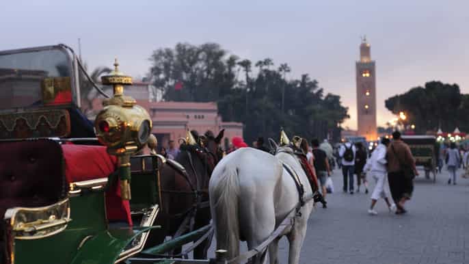 marrakech visite guidée d’une journée avec déjeuner