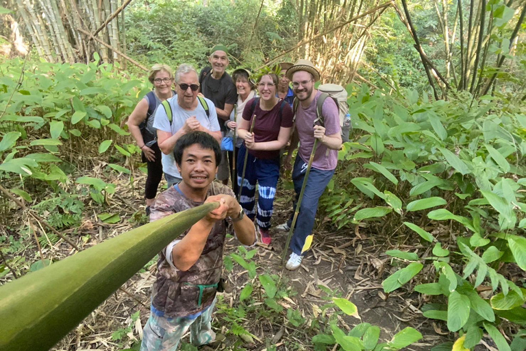 1 Day trekking : Chiang Rai popular activity,Fun in Nature.