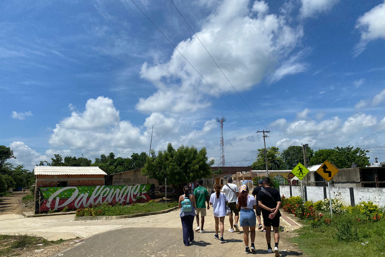 Tour palenque with natives