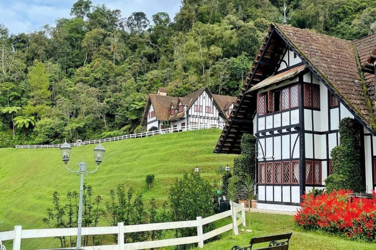 From Penang: Cameron Highlands Refreshing Private Day Tour