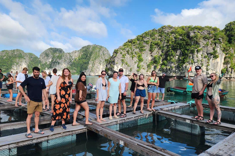 Hanoi: 2-Days Cat Ba Island, Lan Ha Bay Cruise, Ninh Binh