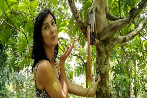 ZANZIBAR: Las Jozani, jaskinia Salaam, The Rock i Blue LagoonWYCIECZKA PRYWATNA BEZ ODBIORU Z HOTELU I TRANSPORTU POWROTNEGO