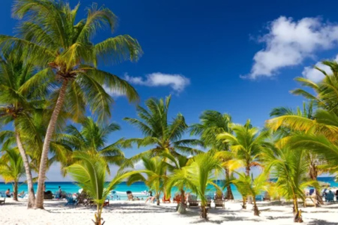 Punta Cana: VIP Saona Island Tour with Drinks and Food Included Punta Cana: VIP Saona Island Tour with Drink and Food Included