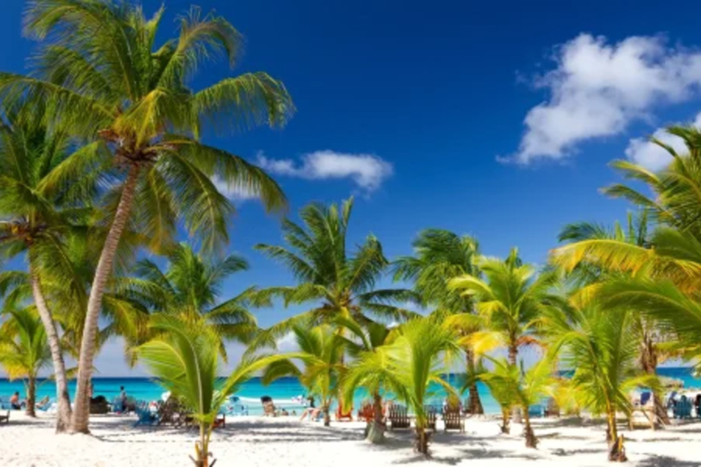 Punta Cana: VIP Saona Island Tour with Drinks and Food Included Punta Cana: VIP Saona Island Tour with Drink and Food Included