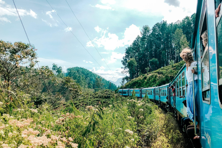 From Kandy: to Ella Scenic Train 3rd Class Reserved Seats