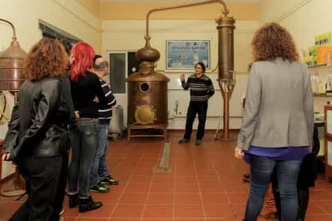 from nafplio greek ouzo honey tour in nafplio