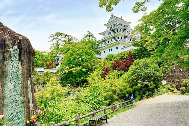 Gujo Hachiman Day Trip: Mountain Castle & Traditional Town The popular Gujyo town tour