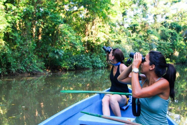 Tortuguero:Nationaal park Tortuguero in Costa Rica- Alle tours