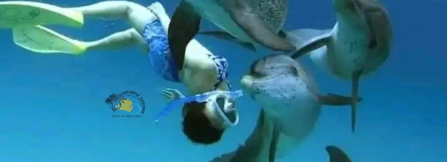 Zanzibar : baignade avec les dauphins de Mnemba et kayak transparent avec drone