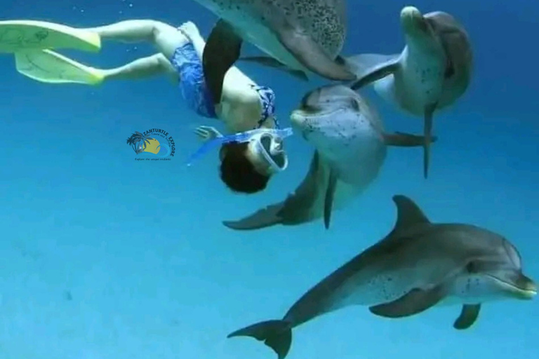 Zanzibar: Mnemba Dolphin Swim & Transparent Kayak with Drone