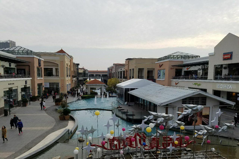 Tour dello shopping al villaggio di Hemu e all&#039;outlet di QingpuShopping tour all&#039;outlet di Hemu Village e Qingpu