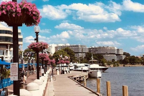 Washington D.C.: il miglior tour dello street food con una guida localeWashington D.C.: 3 ore di degustazione a piedi per piccoli gruppi