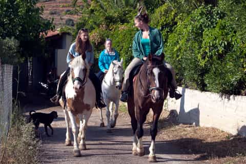 from nafplio horseback riding in nafplio