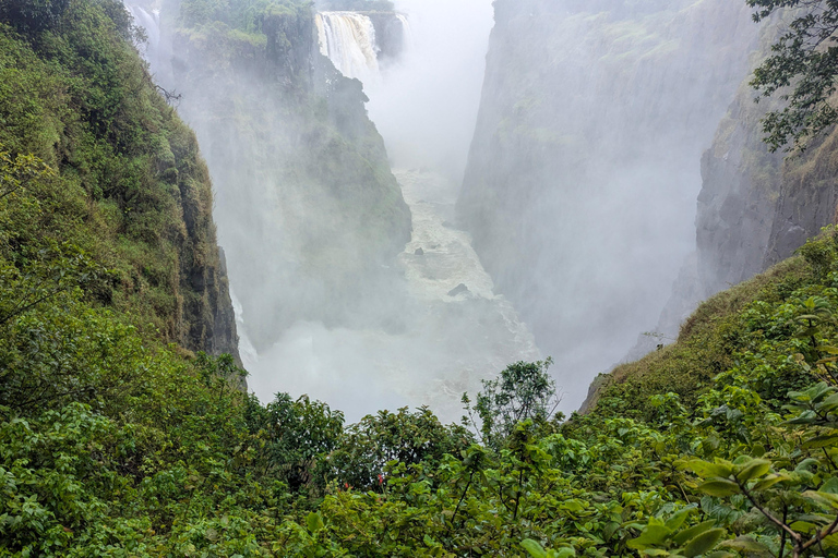 Victoria Falls: Guided Walking Tour with Local Guide