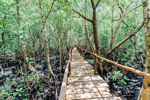 Zanzibar Jozani forest tour (from Town)