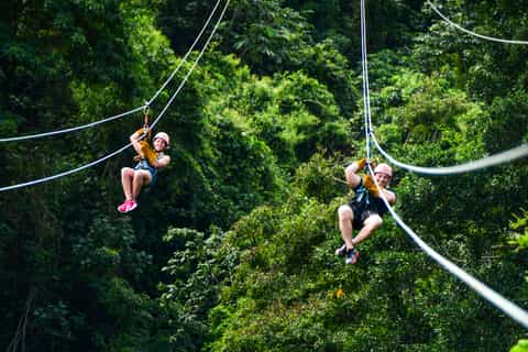 Ziplines Adventures & Monkeyland: Full Day