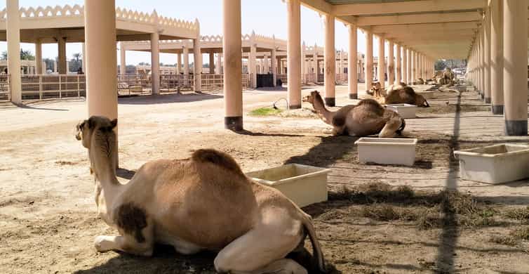 Bahrain: Tree of Life & Desert Heritage Bus Tour photo 7