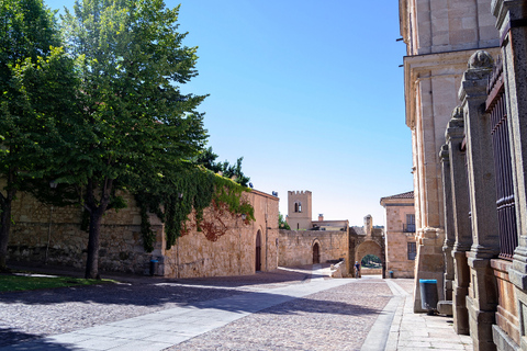 Zamora: Private Guided Tour