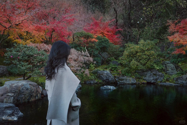 Hangzhou: An Artistic Journey Through Contemporary Hangzhou