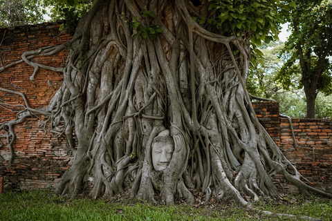 Da Bangkok : Ayutthaya 2 giorni e 1 notte - Fuga dal patrimonio culturale