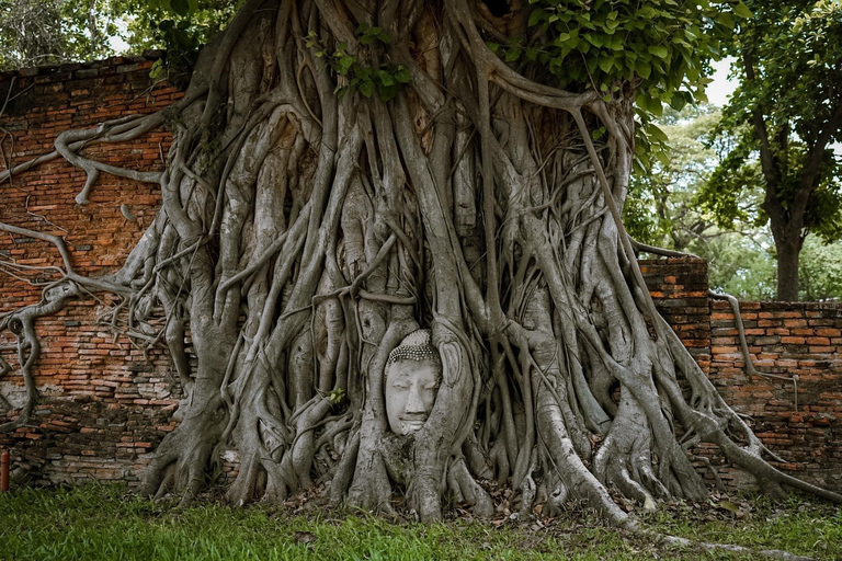 Da Bangkok: Tour pomeridiano della serenità e giro in barca di Ayutthaya2 Giorni 1 Notte